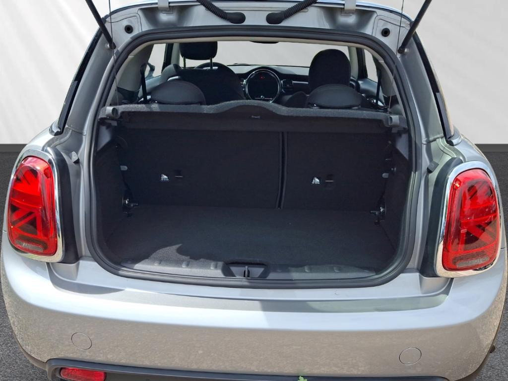 Mini Mini Electric