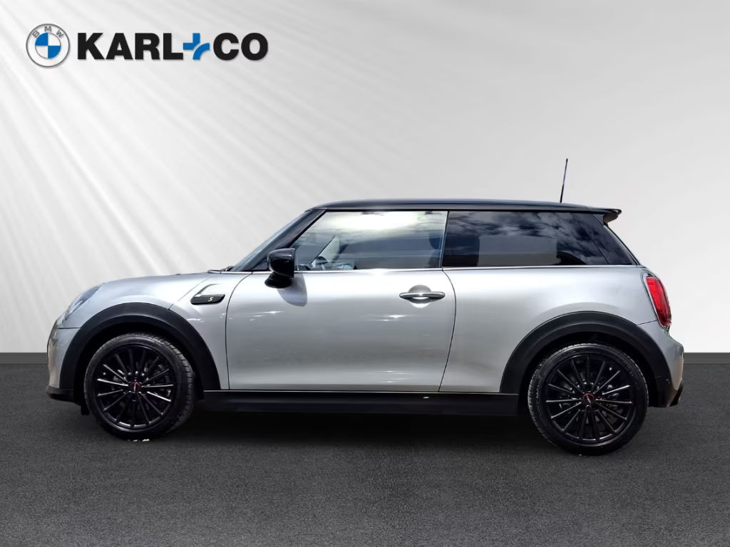 Mini Mini Electric