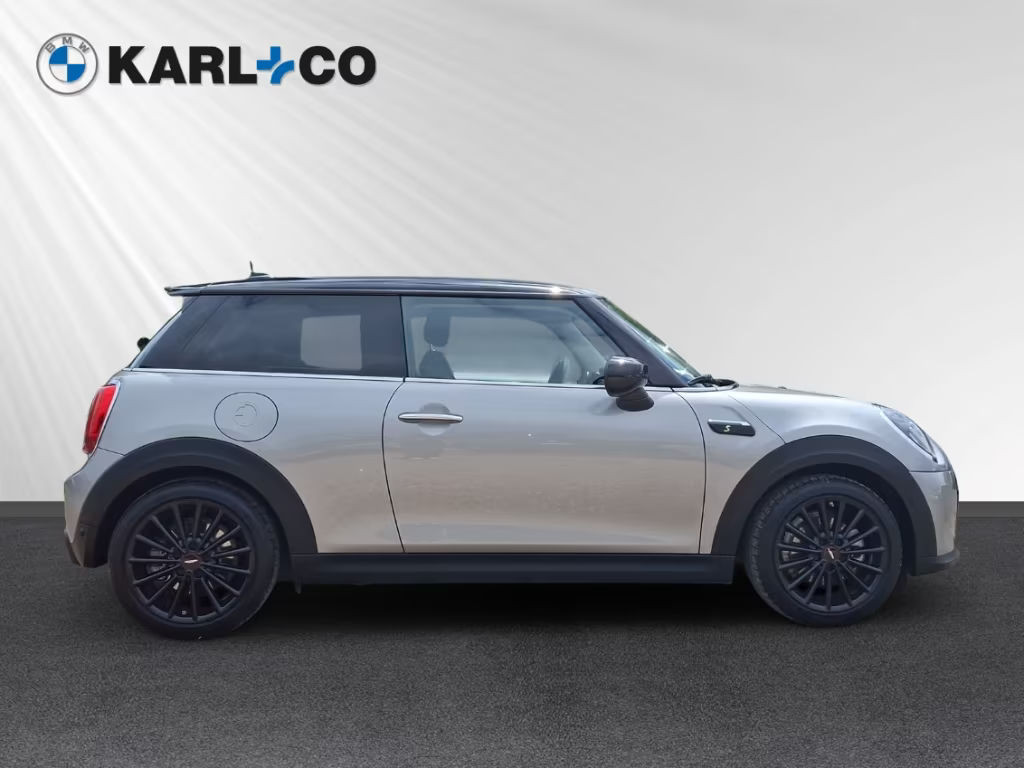 Mini Mini Electric