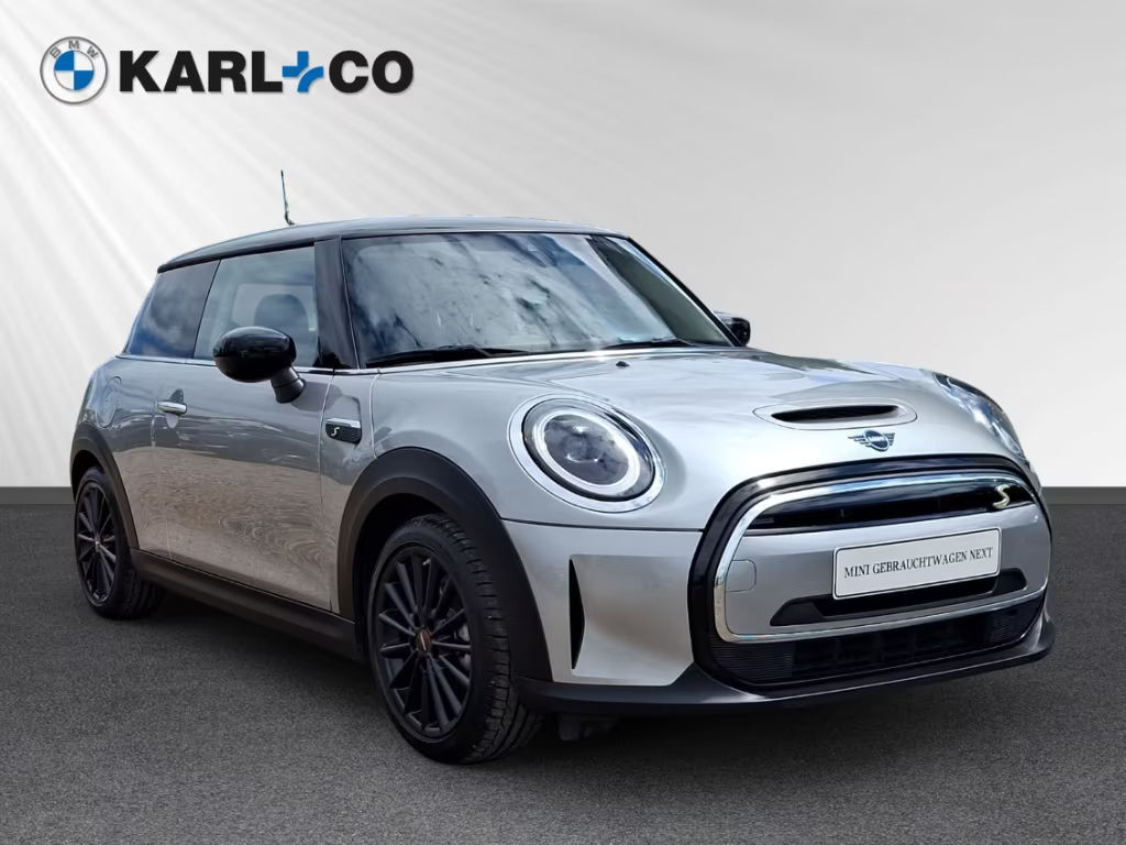 Mini Mini Electric