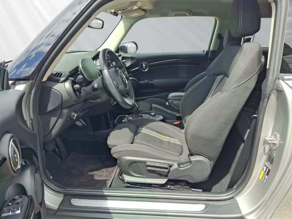 Mini Mini Electric