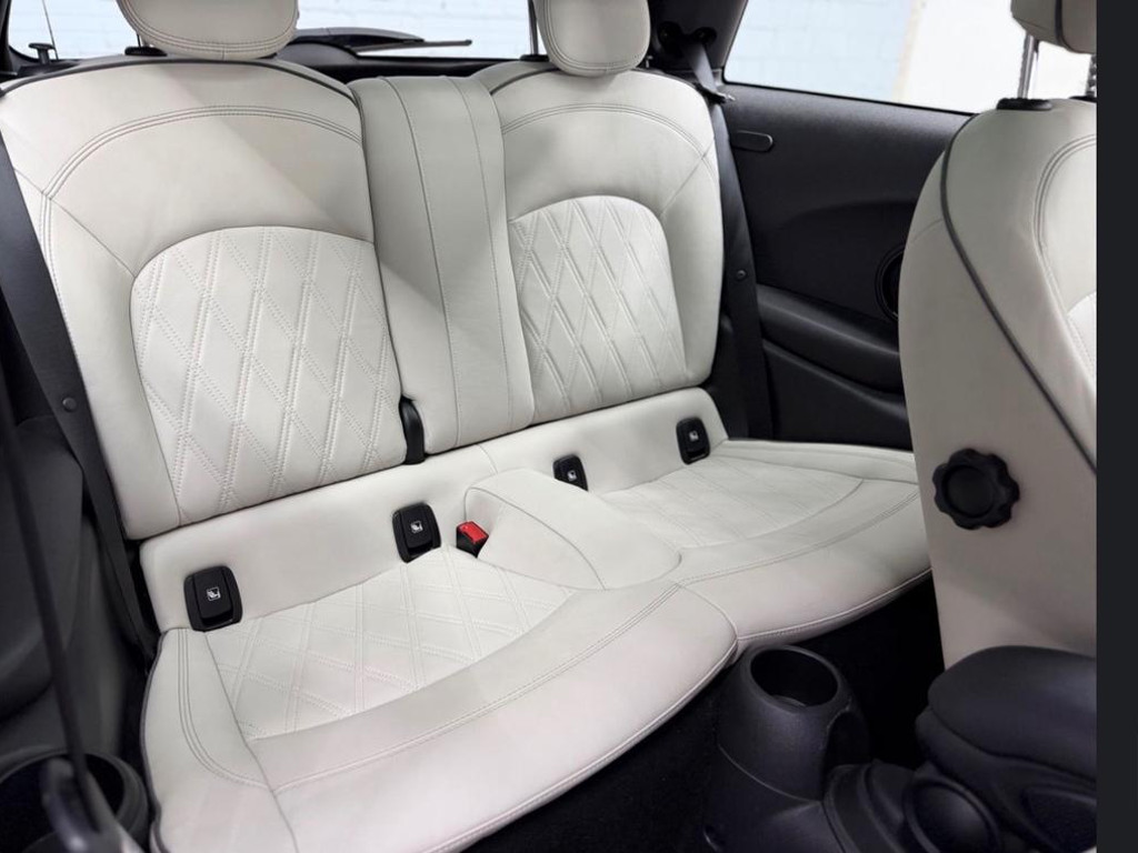 Mini Mini Electric