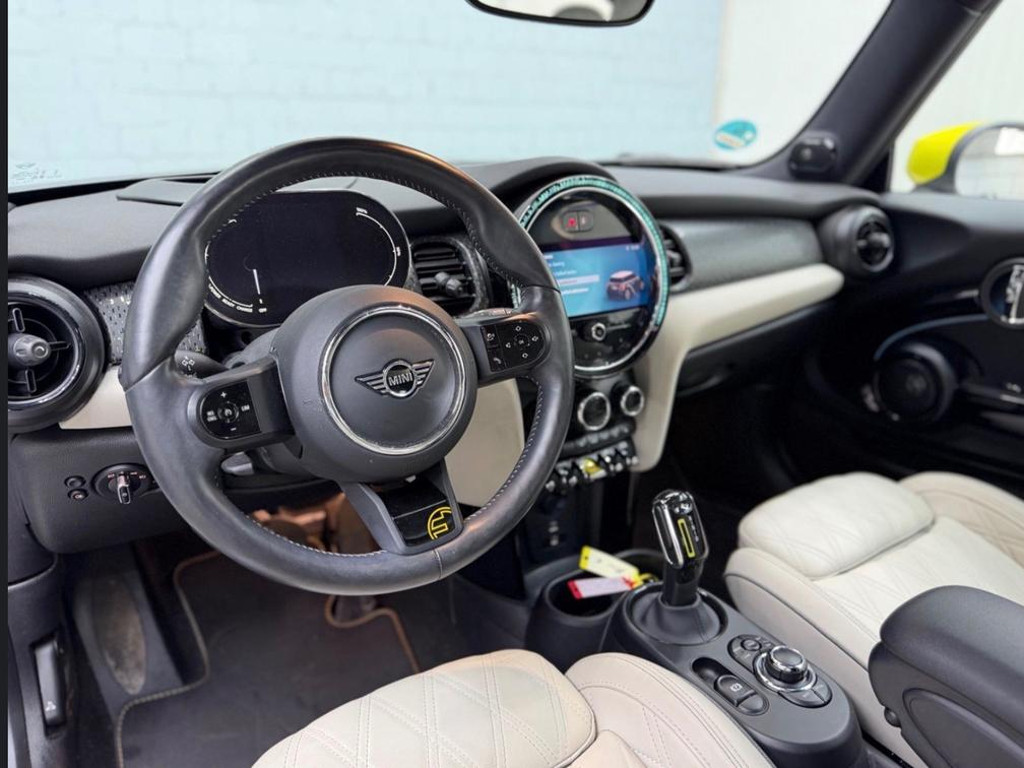Mini Mini Electric
