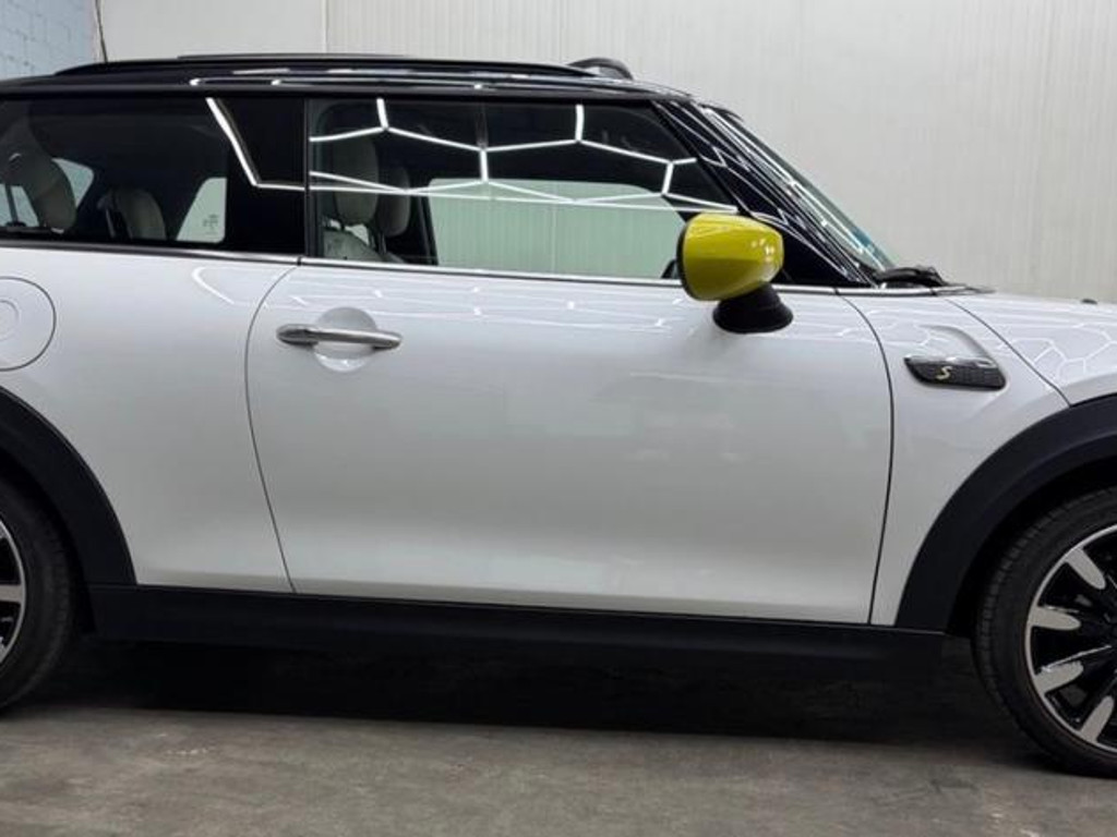 Mini Mini Electric