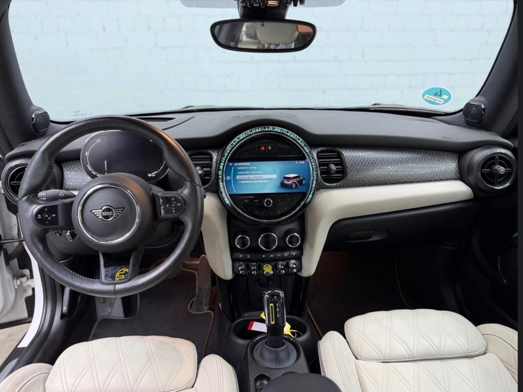 Mini Mini Electric