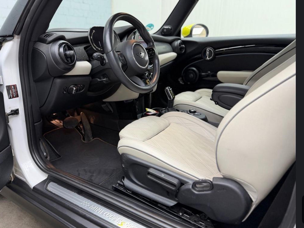 Mini Mini Electric
