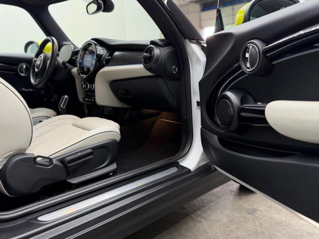 Mini Mini Electric