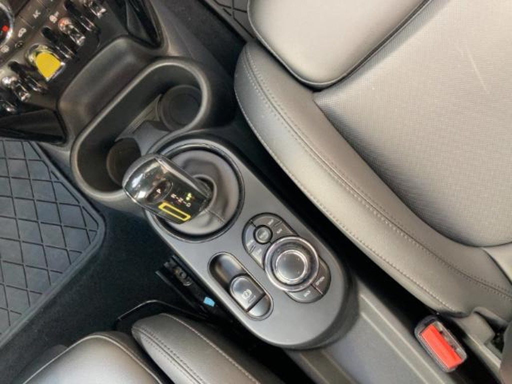 Mini Mini Electric