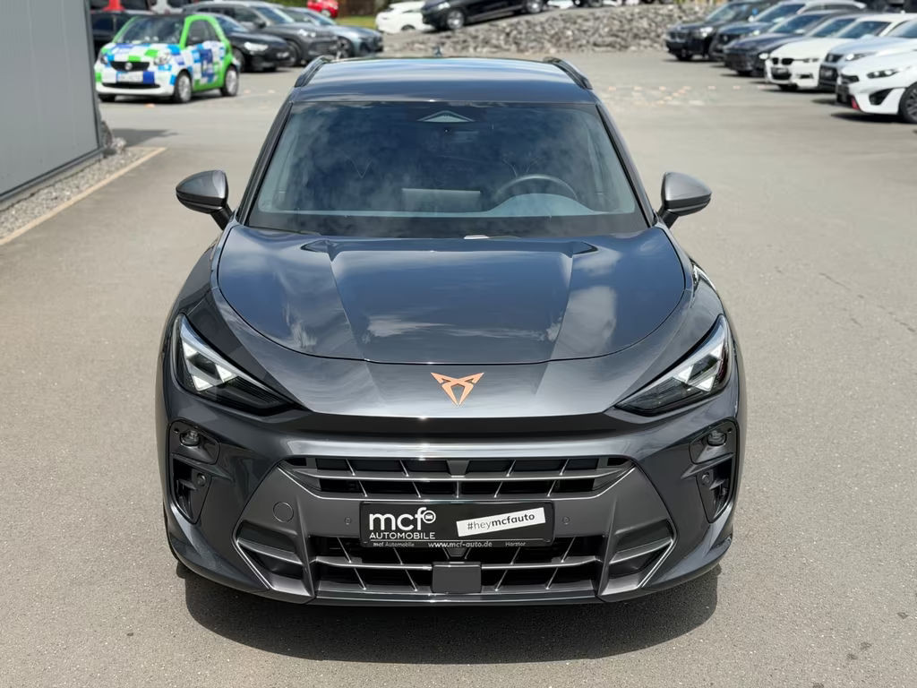 Cupra Terramar