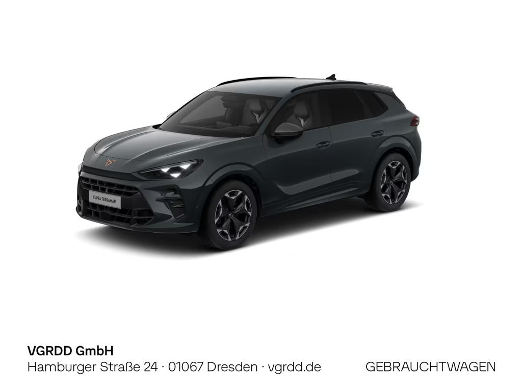 Cupra Terramar Terramar