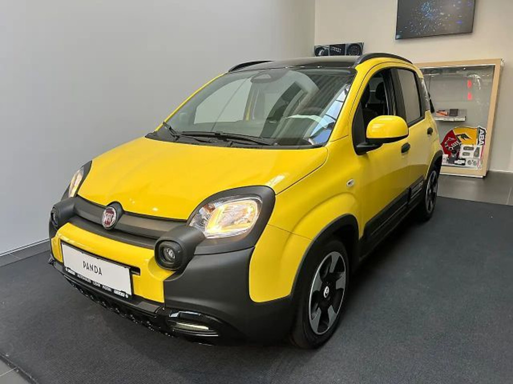 Fiat Pandina