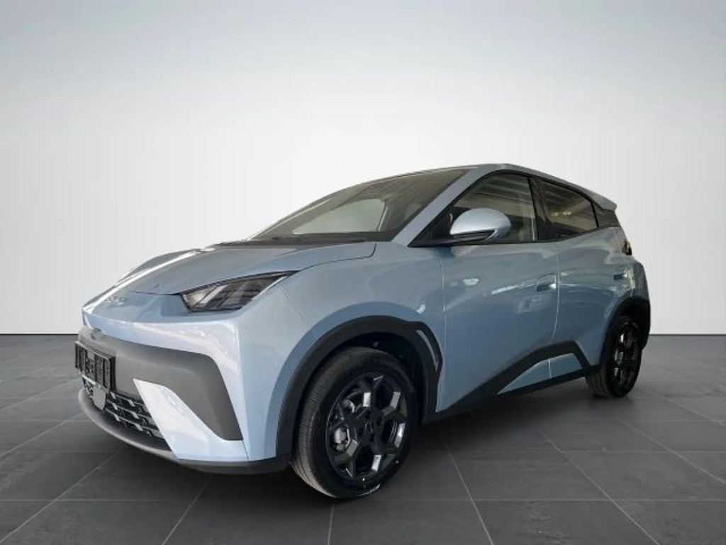 BYD Dolphin Surf