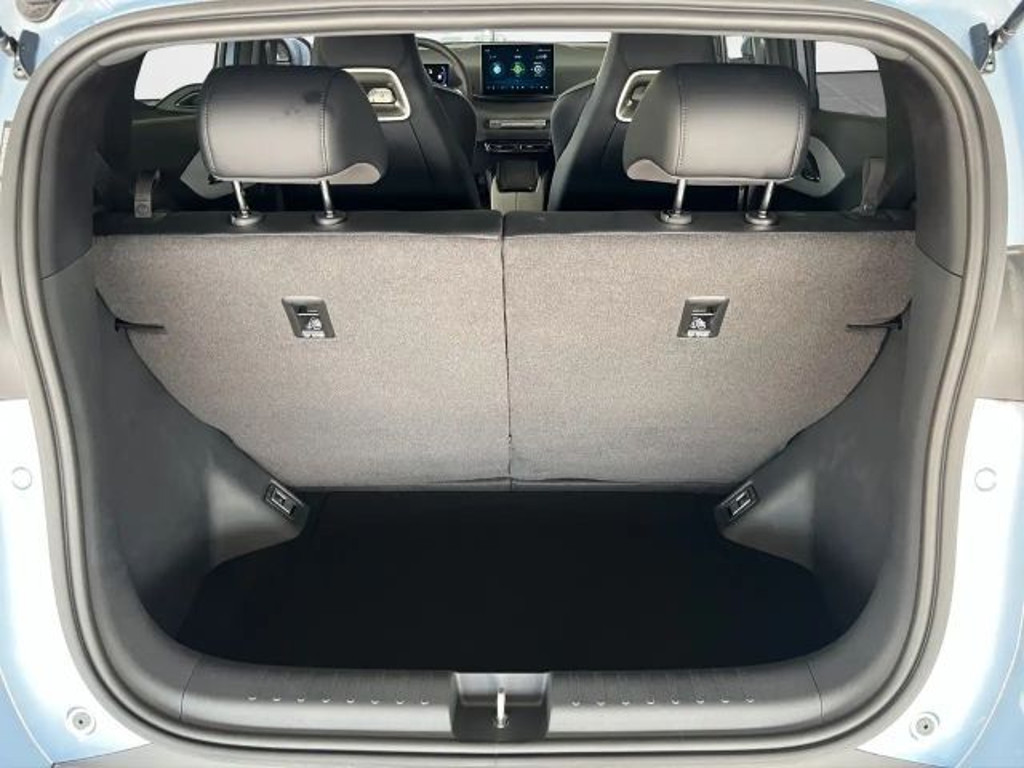 BYD Dolphin Surf