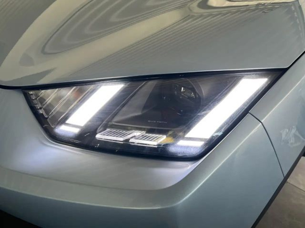 BYD Dolphin Surf