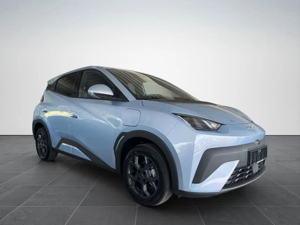 BYD Dolphin Surf