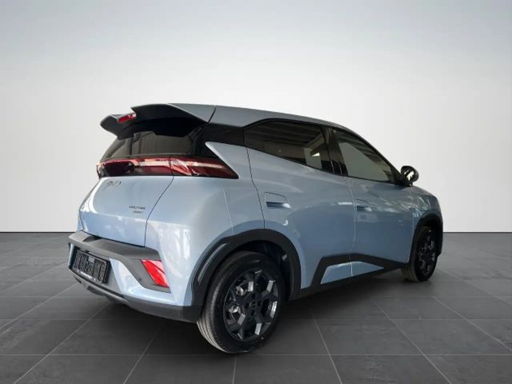BYD Dolphin Surf