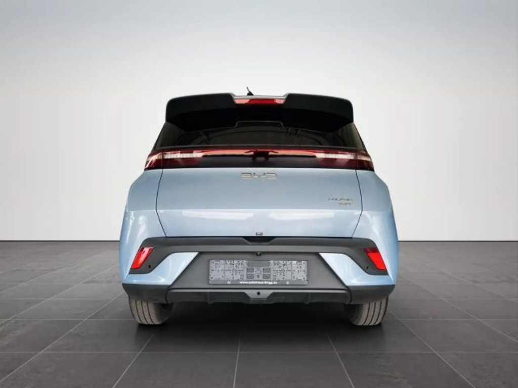 BYD Dolphin Surf