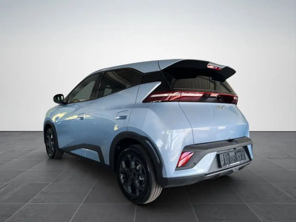BYD Dolphin Surf Comfort