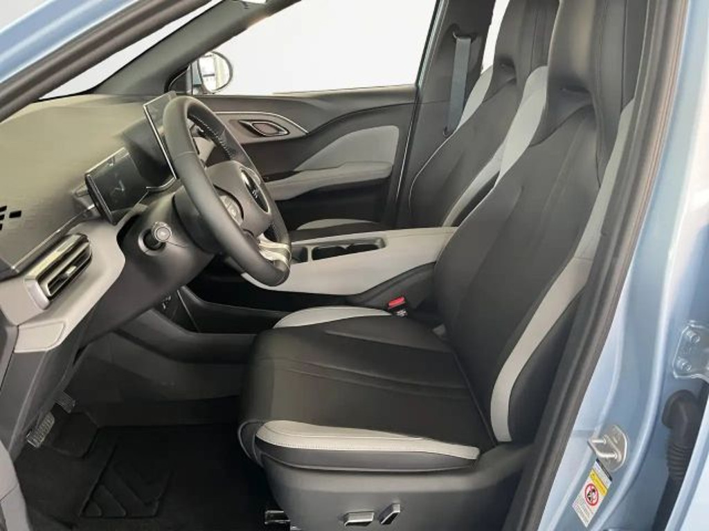 BYD Dolphin Surf