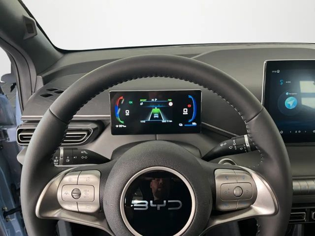 BYD Dolphin Surf