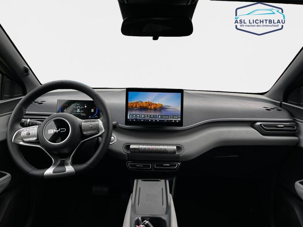 BYD Dolphin Surf