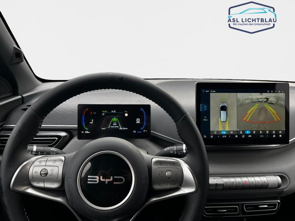 BYD Dolphin Surf
