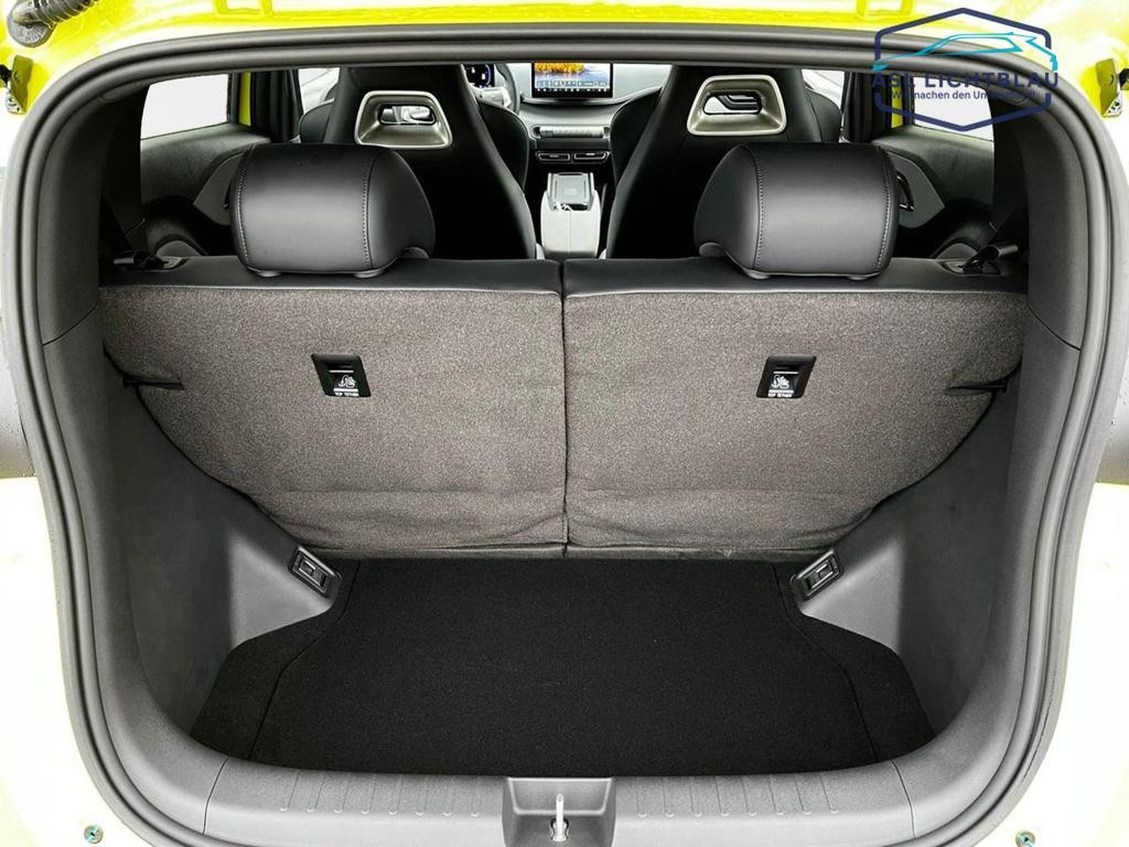 BYD Dolphin Surf