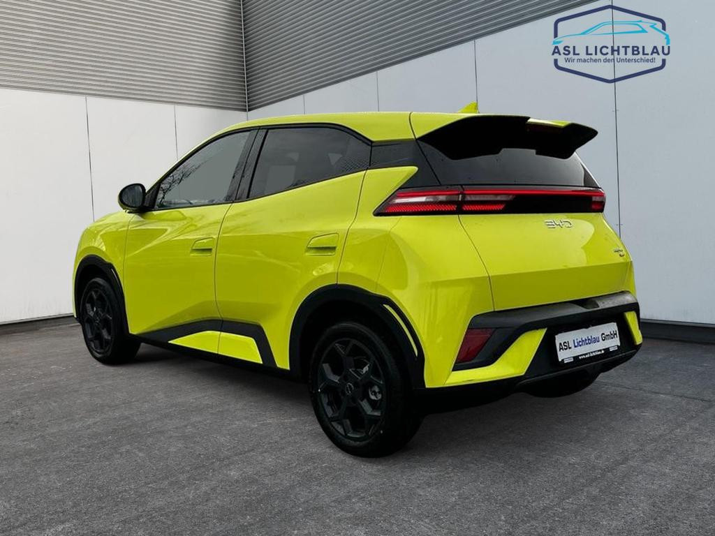 BYD Dolphin Surf