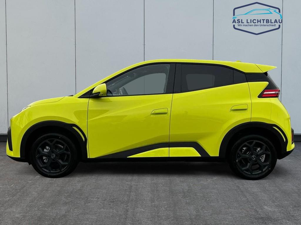 BYD Dolphin Surf