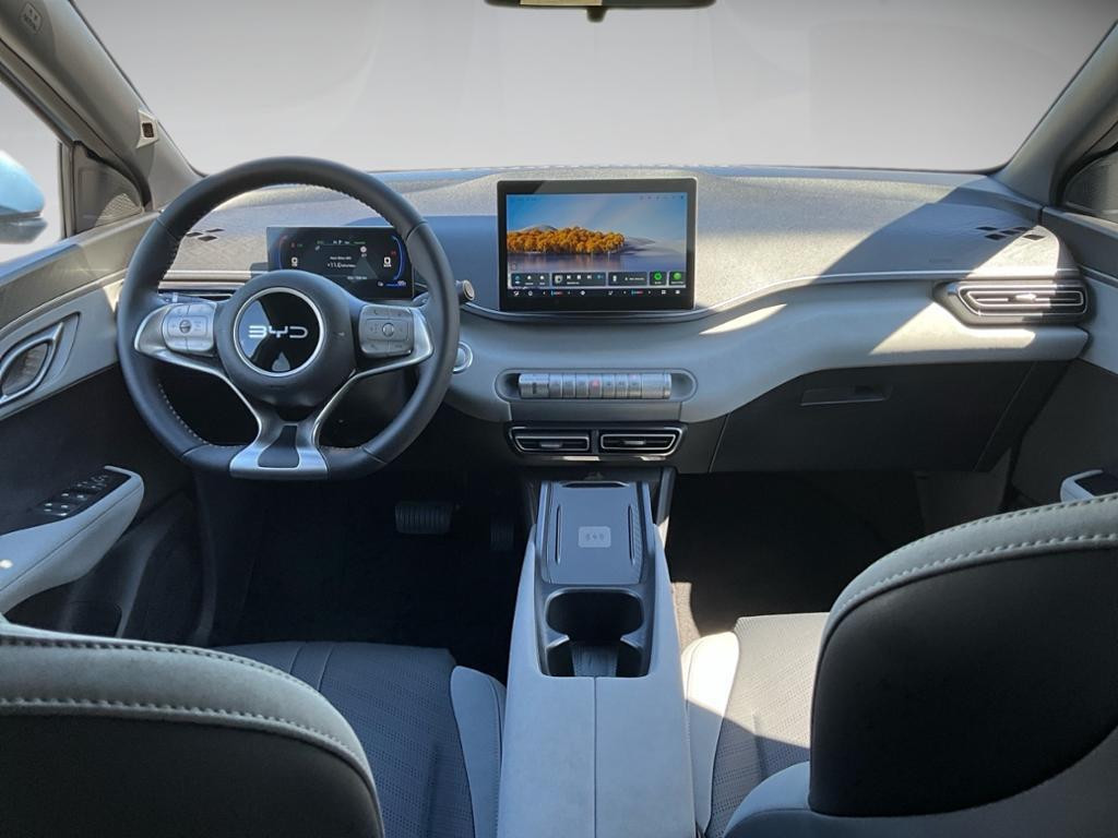 BYD Dolphin Surf