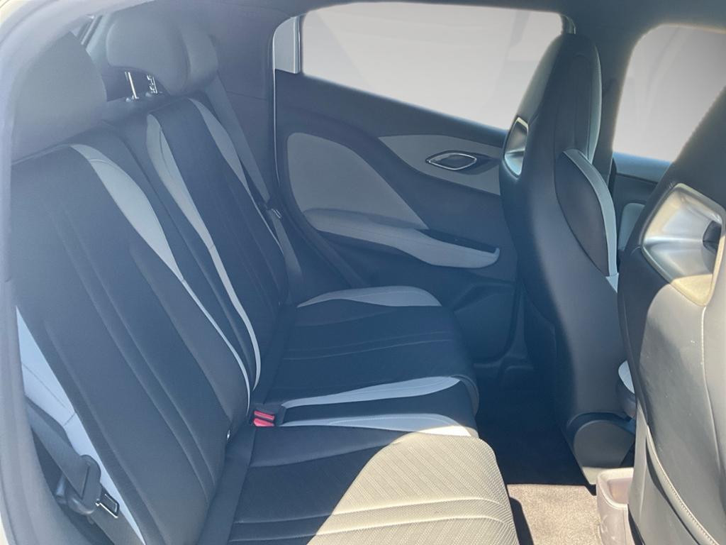 BYD Dolphin Surf