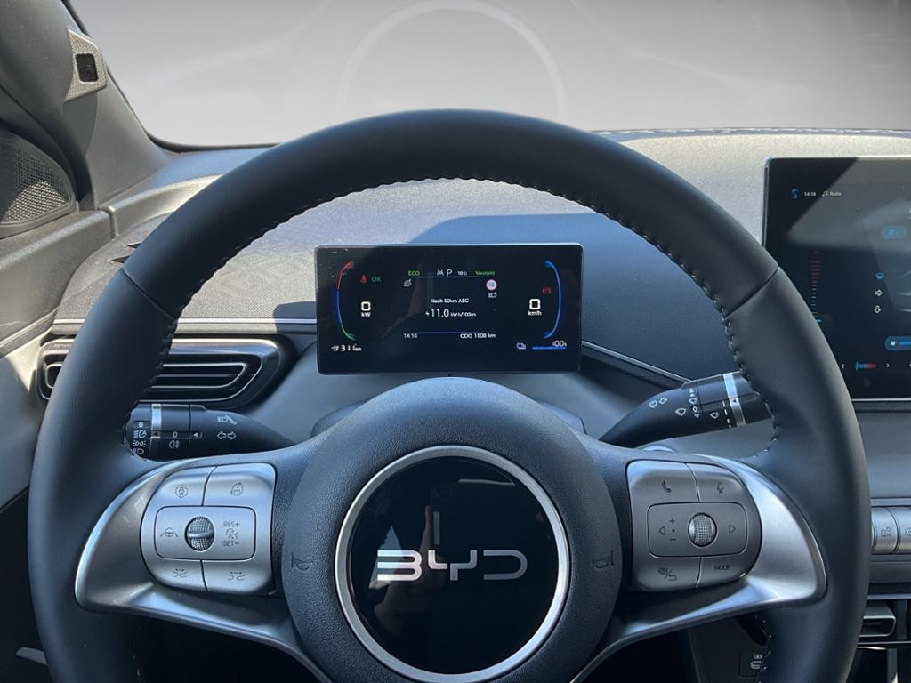 BYD Dolphin Surf