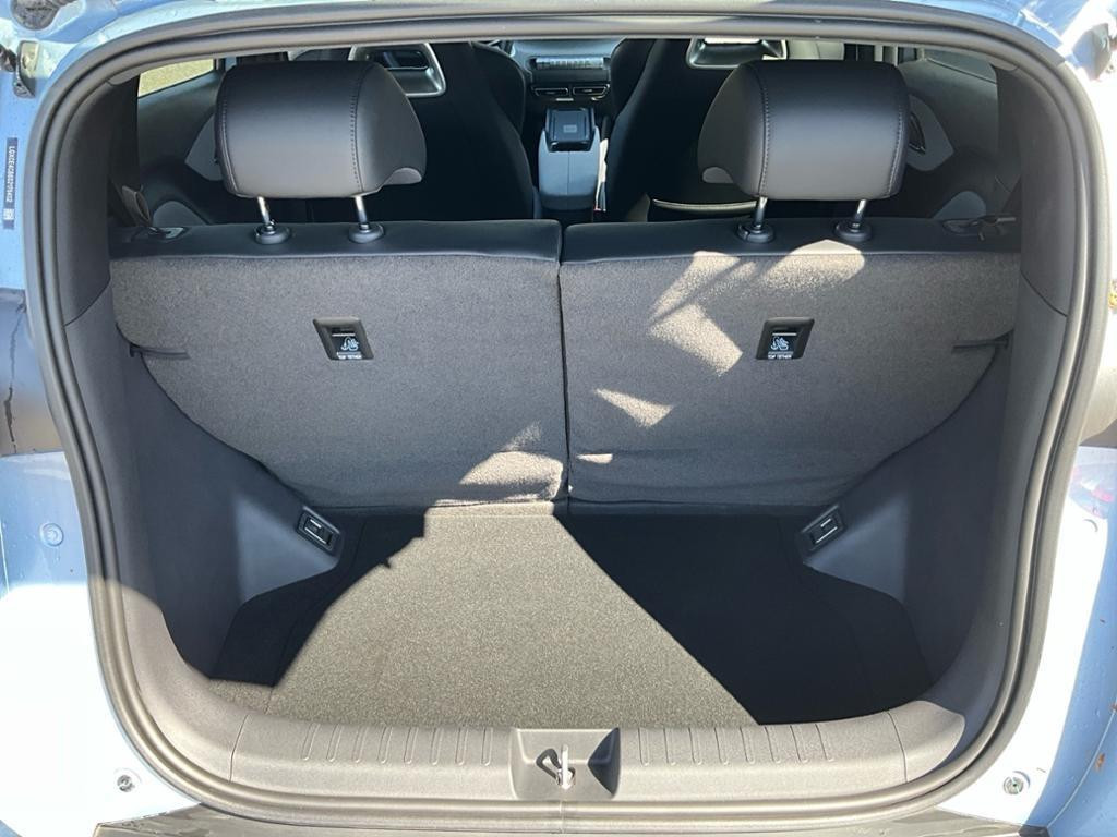 BYD Dolphin Surf