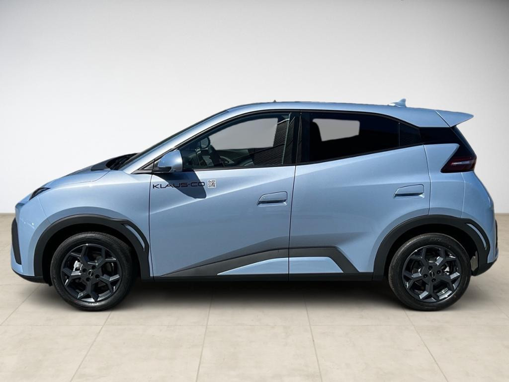 BYD Dolphin Surf