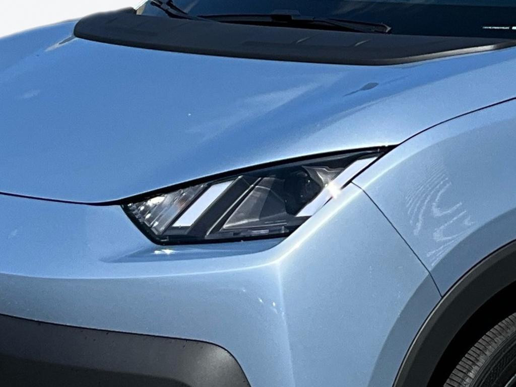 BYD Dolphin Surf