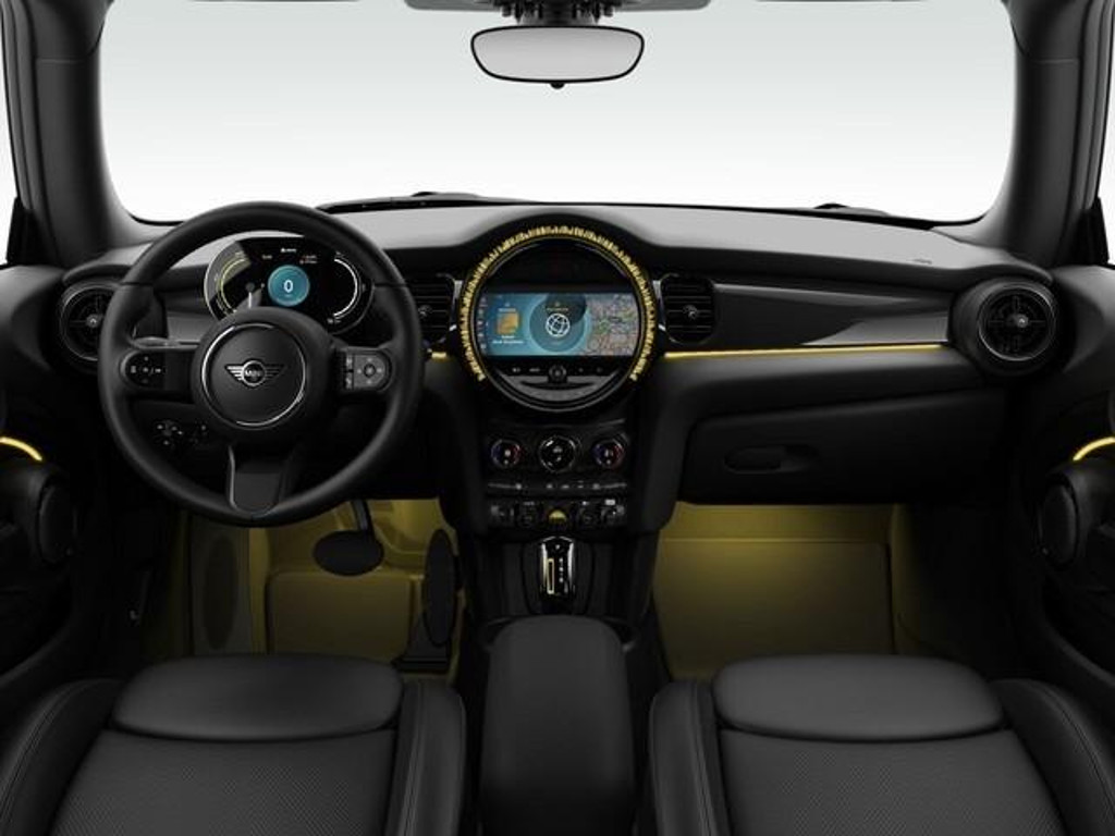 Mini Mini Electric