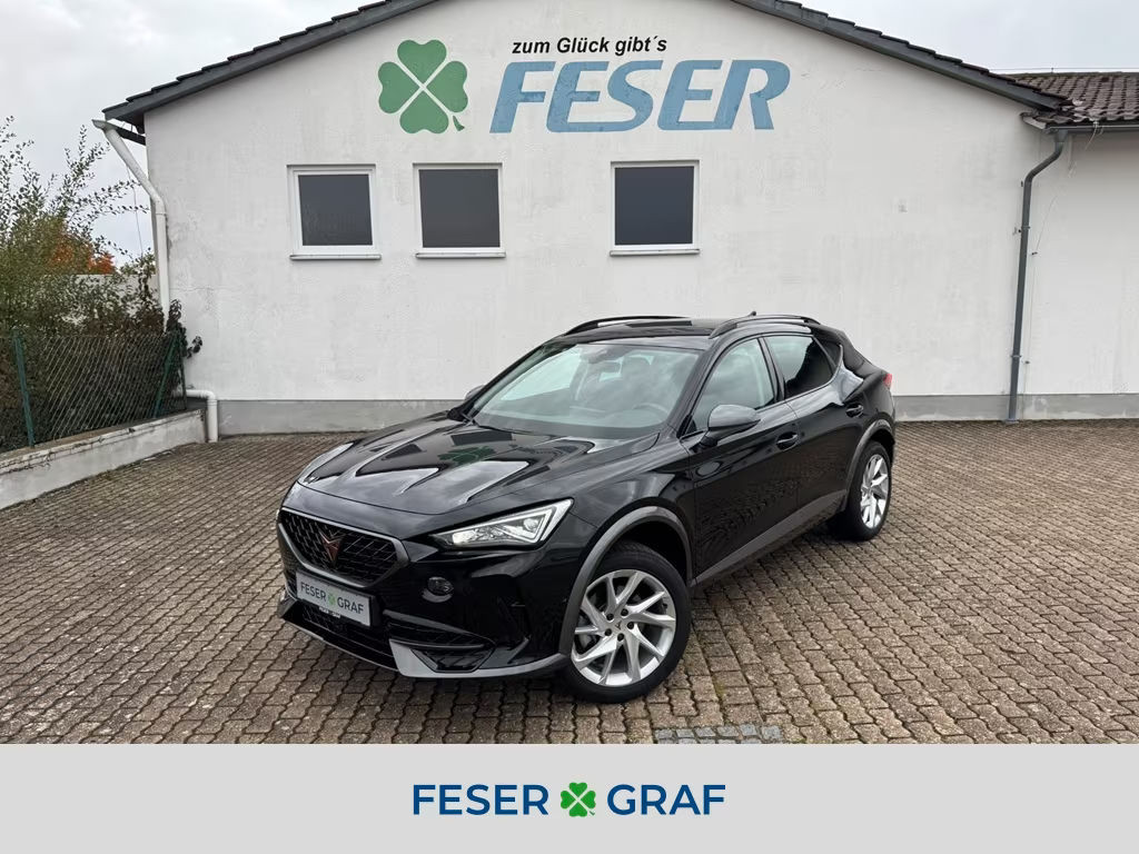 Cupra Formentor 2.0 TSI DSG