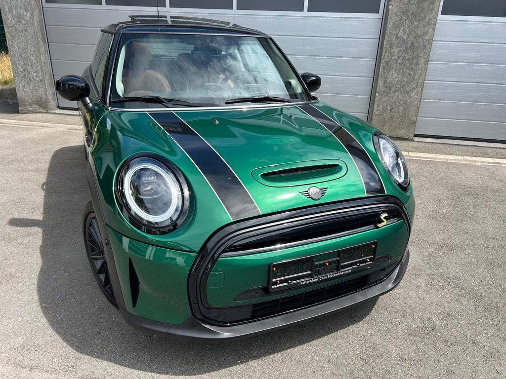 Mini Mini Electric