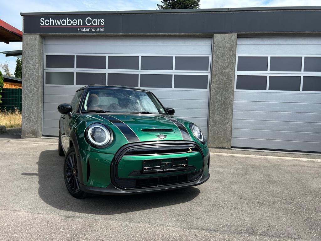 Mini Mini Electric