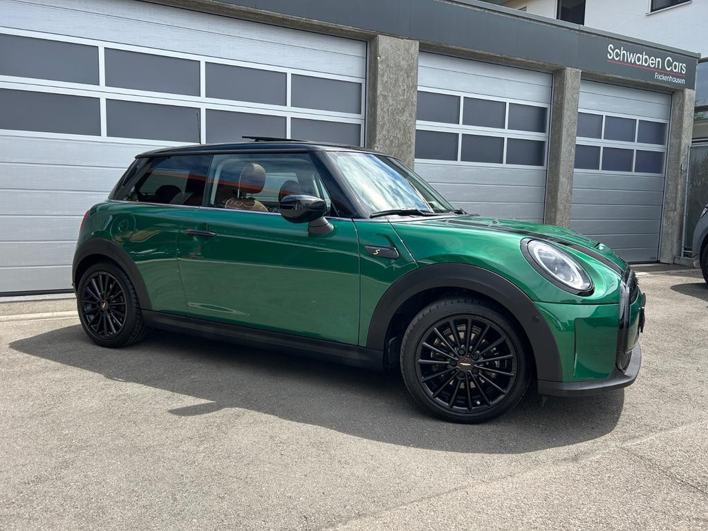 Mini Mini Electric