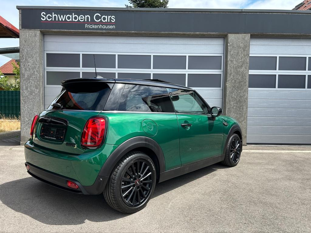 Mini Mini Electric