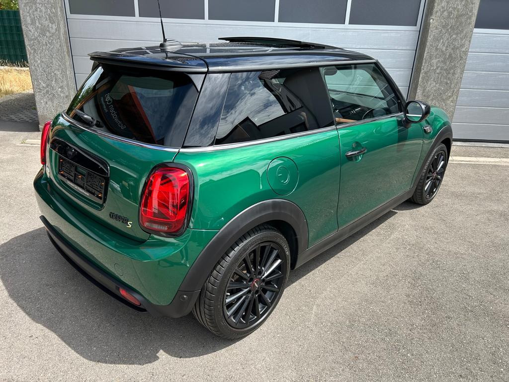 Mini Mini Electric