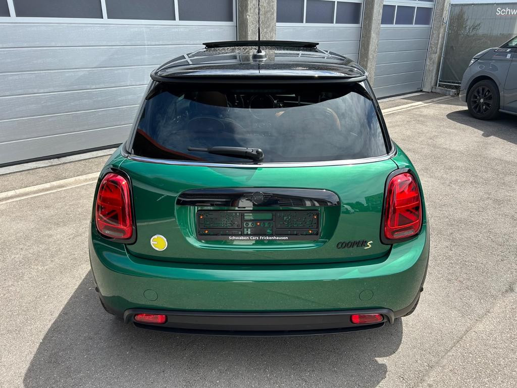 Mini Mini Electric
