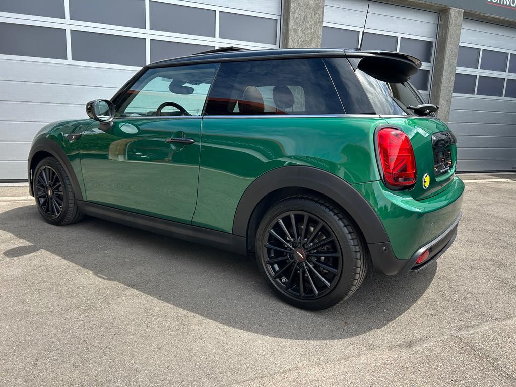 Mini Mini Electric