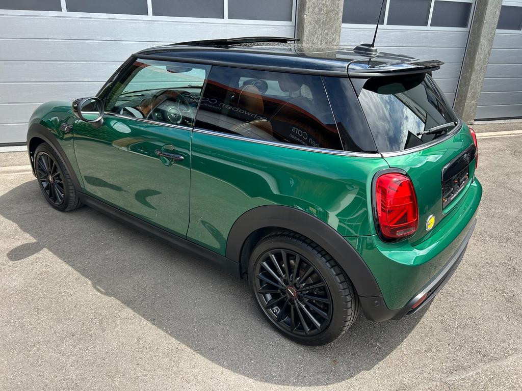Mini Mini Electric