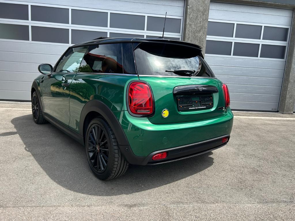 Mini Mini Electric