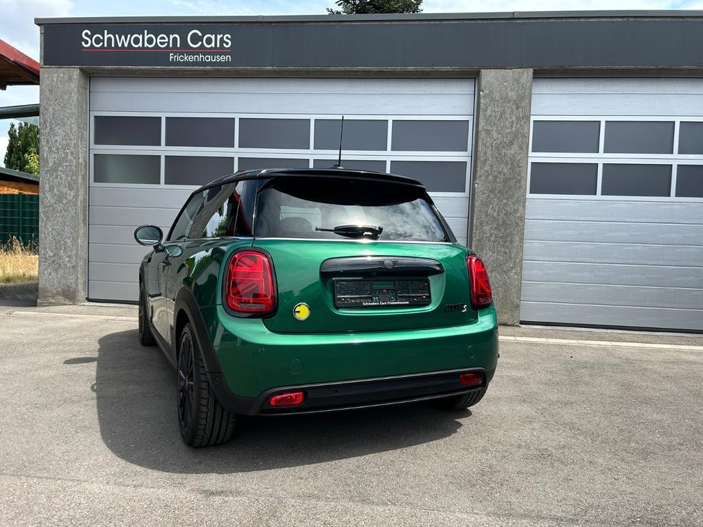 Mini Mini Electric