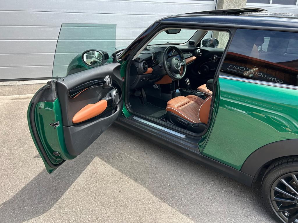 Mini Mini Electric