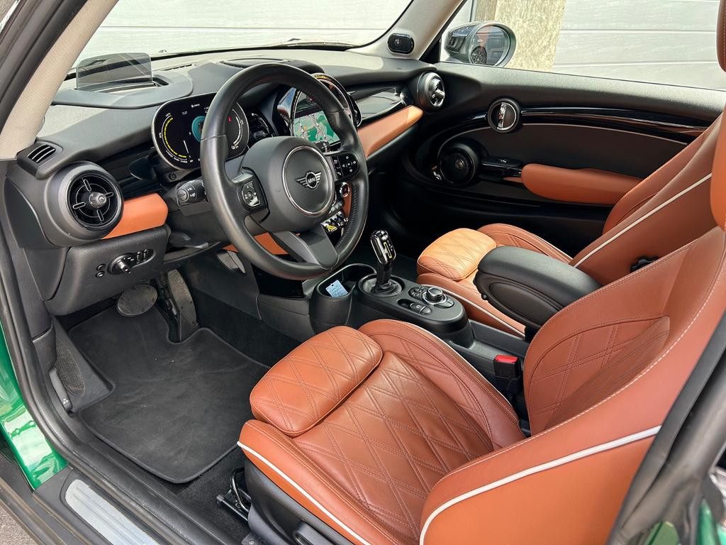 Mini Mini Electric
