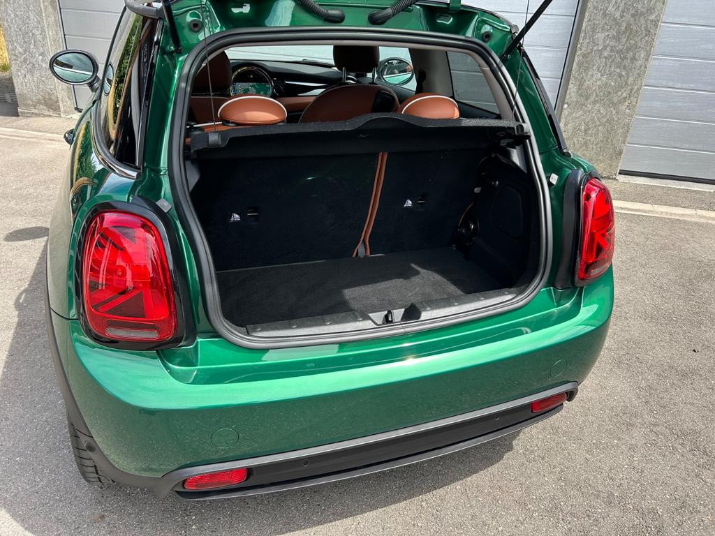 Mini Mini Electric